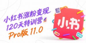 小红书涨粉变现120天特训营Pro版11.0:从0到1掌握平台运营,内容制作和变现-聊项目