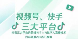 视频号、快手、抖音三大平台的剪辑与数字人直播技术，内容涵盖20+热门赛道-聊项目