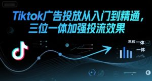 Tiktok广告投放从入门到精通,三位一体加强投流效果-聊项目
