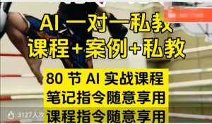 AI指令实战课，课程+案例，80节AI实战课程，笔记指令随意享用，课程指令随意享用(更新7月)-聊项目