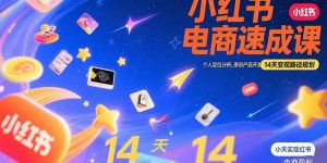 小红书虚拟电商速成课:个人定位分析,原创产品开发,14天变现路径规划-聊项目