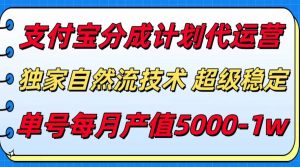 支付宝分成计划代运营，独家自然流技术，收益稳定，单号月产5000＋-聊项目