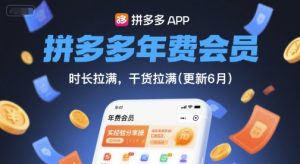 拼多多年费会员,实经验分享操,时长拉满,干货拉满(更新8月)-聊项目