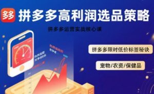 拼多多选品暴利技术实战课,拼多多高利润选品策略,拼多多限时低价标签秘诀-聊项目