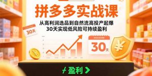 拼多多实战课:从高利润选品到自然流高投产起爆 30天实现低风险可持续盈利-聊项目