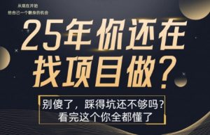 25年,你还在疯狂的找项目吗?别傻了,看完这个你都懂了【揭秘】-聊项目