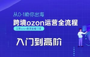 OZON入门到高阶全流程,从0-1助你出海,跨境ozon运营全流程-聊项目