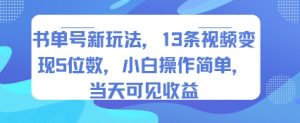 书单号新玩法，13条视频变现5位数，小白操作简单，当天可见收益-聊项目