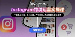 Instagram跨境运营实战:平台认知/账号运营/内容优化/选品策略及变现模式-聊项目
