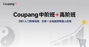 Coupang中阶班+高阶班,0到1入门跨境电商,在家一台电脑挣韩国人的钱-聊项目
