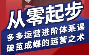 拼多多运营进阶系统课，从零起步，多多运营进阶体系课，破茧成蝶的运营之术-聊项目