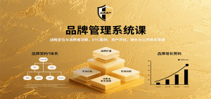 品牌管理系统课：战略定位与消费者洞察，DTC案例、资产评估，增长与公关体系搭建-聊项目