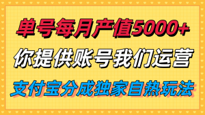 单月产值5000+，支付宝分成代运营，你提供账号坐等分钱，我们帮你运营-聊项目