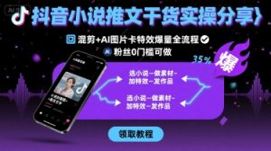 抖音小说推文干货实操分享，混剪+AI图片卡特效爆量全流程，0粉丝0门槛可做-聊项目