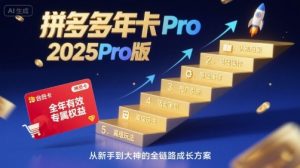 拼多多年卡2025Pro版,五大板块从认知到基础、从推广到活动、从活动到玩法-聊项目
