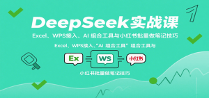 DeepSeek实战课:Excel、WPS接入、AI 组合工具与小红书批量做笔记技巧-聊项目
