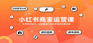 小红书商家运营课,账号定位起号、内容爆款打造与短视频拍摄剪辑-聊项目