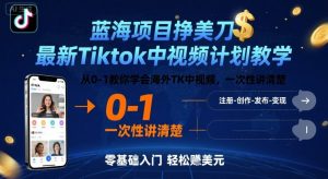 蓝海项目挣美刀,最新Tiktok中视频计划教学,从0-1教你学会海外TK中视频,一次性讲清楚-聊项目