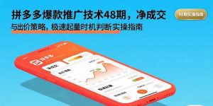 拼多多爆款推广技术48期,净成交与出价策略,极速起量时机判断实操指南-聊项目