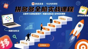 拼多多全阶实战课程,从新手小白到运营高手,海量实战玩法+全年实时更新【2025年9月更新】-聊项目