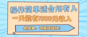 操作简单适合所有人全自动挂机项目，一天能有1000元收入，低成本，可矩…-聊项目