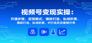 视频号变现实操，含开通步骤、变现模式、爆款打造、私域积累、IP打造及流量提升等-聊项目