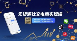 无货源社交电商实操课,绕开传统互联网电商模式,撒豆成兵,实现跨平台交易-聊项目