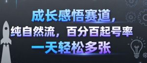 成长感悟赛道,纯自然流,百分百起号率 一天轻松多张-聊项目