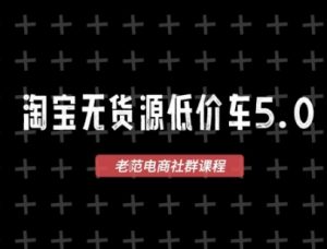 淘宝无货源价车5.0,2025最新VIP淘宝无货源课程,1688代发,蓝海选品,零成本创业首选(更新)-聊项目