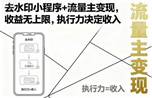 去水印小程序+流量主变现,收益无上限,执行力决定收入-聊项目