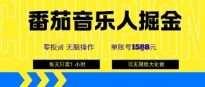 番茄音乐人掘金,单账号最高可撸1k+,可无限矩阵去做,零投入-聊项目