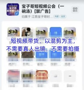 宝子哥头部团队短视频带货,以混剪为主,不需要真人出镜,不需要拍摄【更新9月】-聊项目