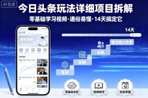 今日头条玩法详细项目拆解,零基础学习视频 通俗易懂 14天搞定它-聊项目