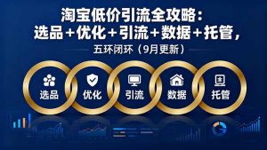 淘宝低价引流全攻略:选品+优化+引流+数据+托管,五环闭环(9月更新-聊项目