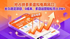 抢占拼多多虚拟电商风口：长久稳定项目，0成本，多店运营轻松月入3W+-聊项目
