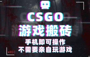 CSGO游戏挂机捡漏,单日扫货500+,年底小高峰上车可吃肉,手机即可操作…-聊项目