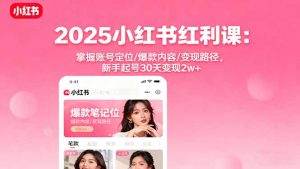2025小红书红利课:掌握账号定位/爆款内容/变现路径,新手起号30天变现2w+-聊项目