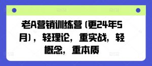 老A营销训练营(更25年10月),轻理论,重实战,轻概念,重本质-聊项目