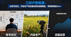 三农IP变现课:从账号定位、内容生产到流量运营全链路覆盖,单视频佣金2w+-聊项目