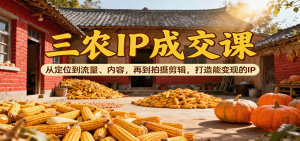 三农IP成交课:从定位到流量、内容,再到拍摄剪辑,打造能变现的IP-聊项目