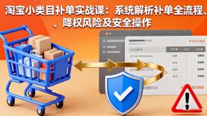 淘宝小类目补单实战课：系统解析补单全流程、降权风险及安全操作-聊项目