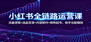 小红书全链路运营课:流量逻辑+选品货源+内容制作+矩阵起号,新手也能赚钱-聊项目