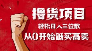 手把手教你撸货,从0开始低买高卖,小白轻松实现日入三位数!!!-聊项目