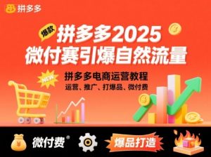 拼多多2025微付费引爆自然流量,拼多多电商运营教程,运营、推广、打爆品、微付费(更新)-聊项目
