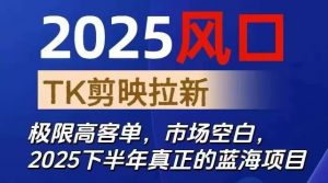2025风口TK剪映capcut拉新项目,极限高客单,市场空白,2025下半年真正的蓝海项目-聊项目