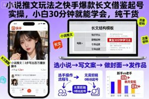 小说推文玩法之快手爆款长文借鉴起号实操,小白30分钟就能学会,纯干货-聊项目