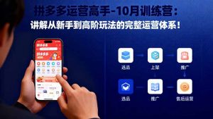 拼多多运营高手-10月训练营:讲解从新手到高阶玩法的完整运营体系!-聊项目