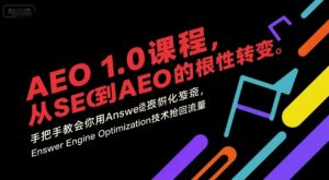 AEO 1.0 课程,从SEO到AE0的基命性转变,手把手教会你用AnswerEngineOptimization技术抢回流量(更新)-聊项目