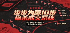 步步为赢10步绝杀成交系统,系统化解决从流量吸引到最终成交的完整链路-聊项目