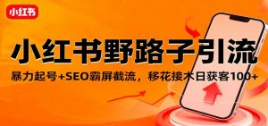 小红书野路子引流,暴力起号+SEO霸屏截流,移花接木日获客100+-聊项目